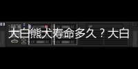 大白熊犬壽命多久？大白熊犬能活多長時(shí)間？ 大白熊最大能長多少斤