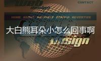 大白熊耳朵小怎么回事??？為什么我家的大白熊耳朵不貼臉上