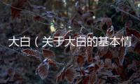 大白（關(guān)于大白的基本情況說明介紹）