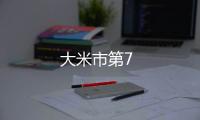 大米市第7