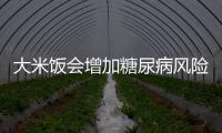 大米飯會增加糖尿病風險嗎？到底要不要吃米飯，看看醫生怎么說