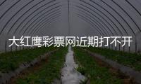 大紅鷹彩票網近期打不開