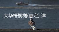 大華梧桐樾(嘉定) 詳情