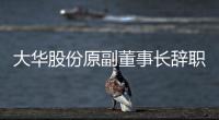 大華股份原副董事長(zhǎng)辭職前拋股套現(xiàn)逾2000萬(wàn)