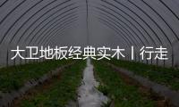 大衛地板經典實木丨行走于實木之上