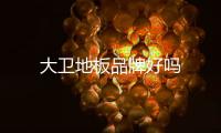 大衛地板品牌好嗎