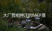 大廠競相押注的MCP是啥？