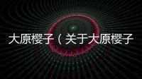 大原櫻子（關于大原櫻子的基本情況說明介紹）