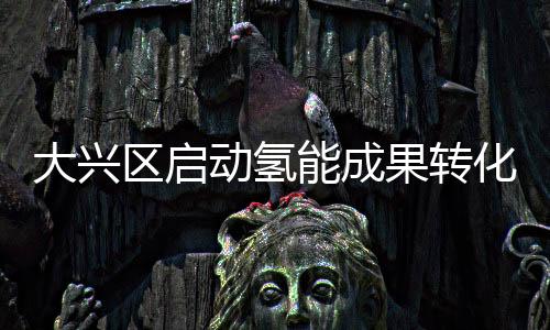 大興區啟動氫能成果轉化協同服務平臺