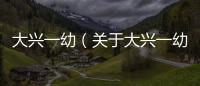 大興一幼（關于大興一幼的基本情況說明介紹）
