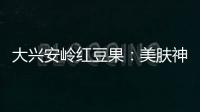 大興安嶺紅豆果：美膚神器，煥發(fā)青春光彩！