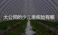 大公司的少兒重疾險有哪些