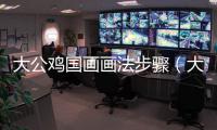 大公雞國畫畫法步驟（大公雞的畫法）