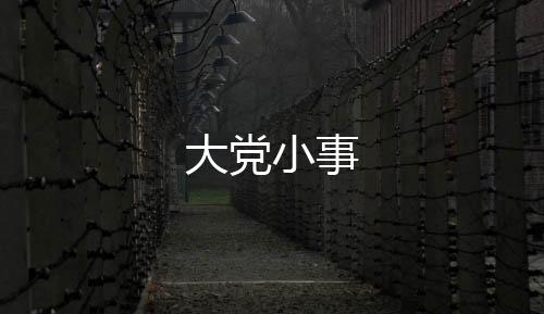 大黨小事
