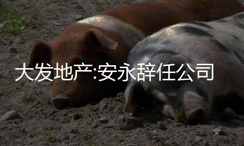 大發地產:安永辭任公司核數師