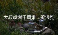 大叔點燃干草堆，流浪狗卻沖進火中，內有3只小狗，全都被它救下