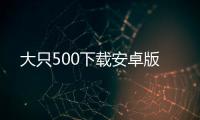 大只500下載安卓版
