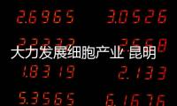 大力發(fā)展細(xì)胞產(chǎn)業(yè) 昆明將探索細(xì)胞質(zhì)量檢測(cè)評(píng)價(jià)體系建設(shè)