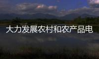 大力發展農村和農產品電子商務