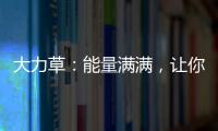 大力草：能量滿滿，讓你活力爆棚！