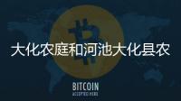 大化農庭和河池大化縣農莊的詳細介紹