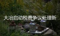 大冶啟動(dòng)稅費(fèi)爭(zhēng)議處理新模式 “事后判”變“事前辦”