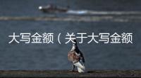 大寫金額（關于大寫金額的基本情況說明介紹）