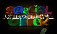 大涼山反季地瓜年貨節上俏