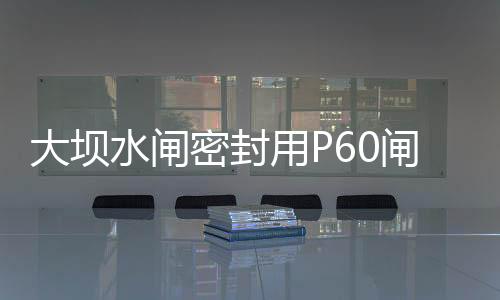 大壩水閘密封用P60閘門止水橡皮價格