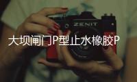 大壩閘門P型止水橡膠P45型 P60型加工定做