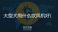 大型犬用什么吹風機好(大型犬吹風機怎么選)