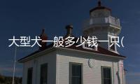 大型犬一般多少錢一只(大型犬寄養多少錢一天)