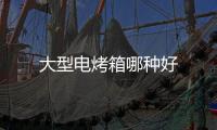 大型電烤箱哪種好