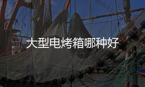 大型電烤箱哪種好
