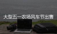 大型五一農場風車節出售廠家最美風車節開始啦