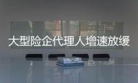 大型險企代理人增速放緩 國壽去年僅增6%