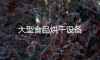 大型食品烘干設(shè)備