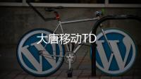 大唐移動TD