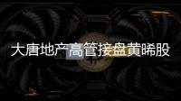 大唐地產(chǎn)高管接盤(pán)黃晞股權(quán),廈門(mén)女首富持股降至30.69%