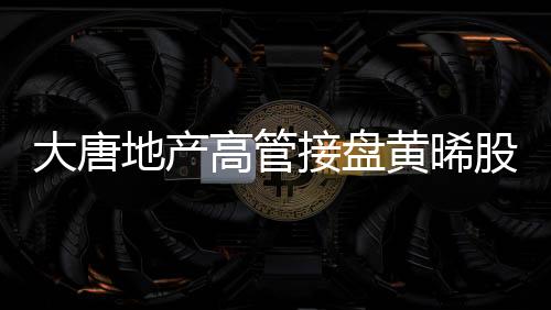 大唐地產(chǎn)高管接盤黃晞股權(quán),廈門女首富持股降至30.69%