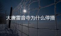 大唐雷音寺為什么停播