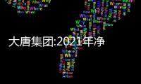 大唐集團(tuán):2021年凈利潤(rùn)約為10.3億元,同比增長(zhǎng)8%
