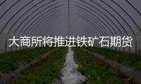 大商所將推進鐵礦石期貨引入境外投資者