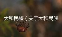 大和民族（關于大和民族的基本情況說明介紹）
