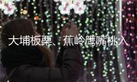 大埔板栗、蕉嶺鷹嘴桃入選！2022年第三批全國名特優新農產品公示中