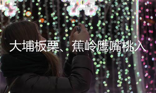 大埔板栗、蕉嶺鷹嘴桃入選！2022年第三批全國名特優(yōu)新農(nóng)產(chǎn)品公示中