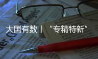 大國有數丨“專精特新”是什么？
