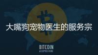 大嘴狗寵物醫生的服務宗旨—以醫療為核心.以愛心評天下