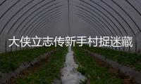大俠立志傳新手村捉迷藏任務怎么做