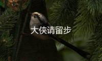 大俠請留步